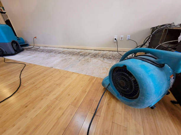 Professional Water Extraction technician working in Audubon, NJ